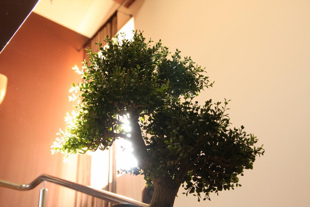 Rixo'S Guesthouse Cîrcea エクステリア 写真