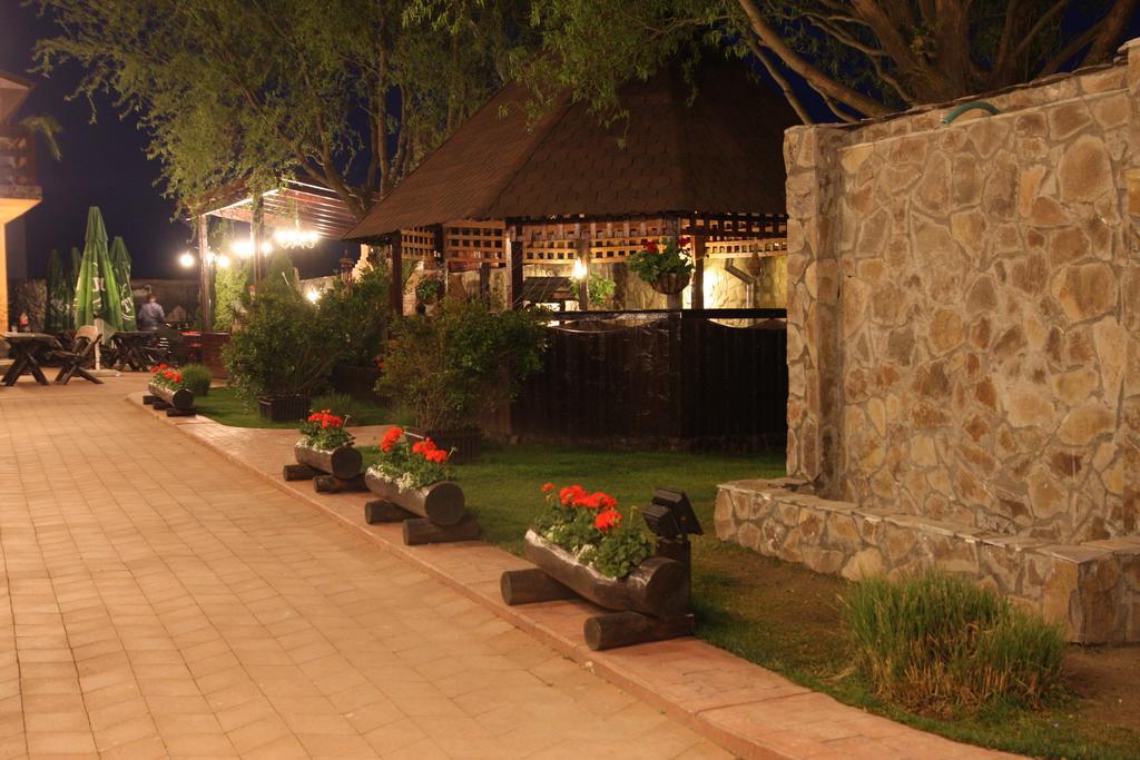 Rixo'S Guesthouse Cîrcea エクステリア 写真