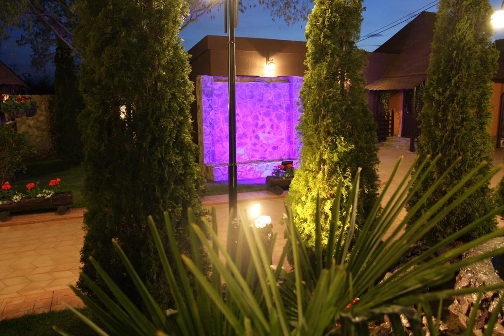 Rixo'S Guesthouse Cîrcea エクステリア 写真
