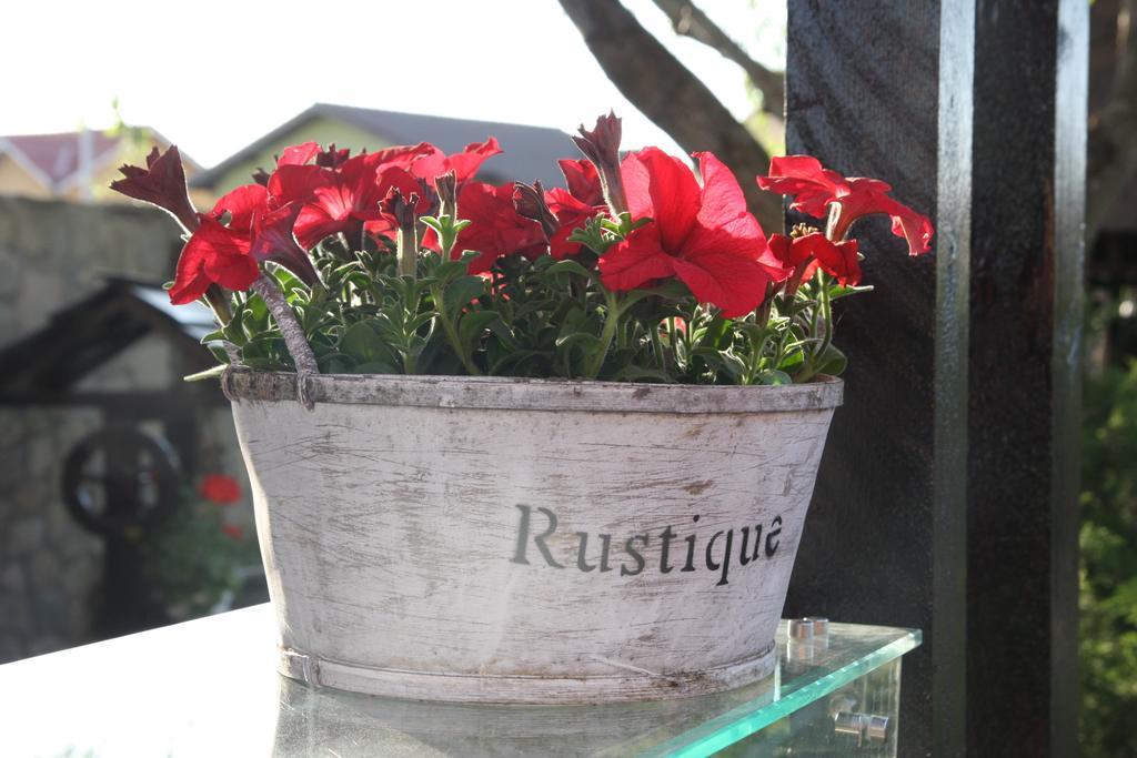 Rixo'S Guesthouse Cîrcea エクステリア 写真