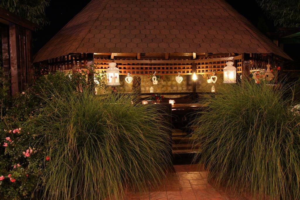 Rixo'S Guesthouse Cîrcea エクステリア 写真