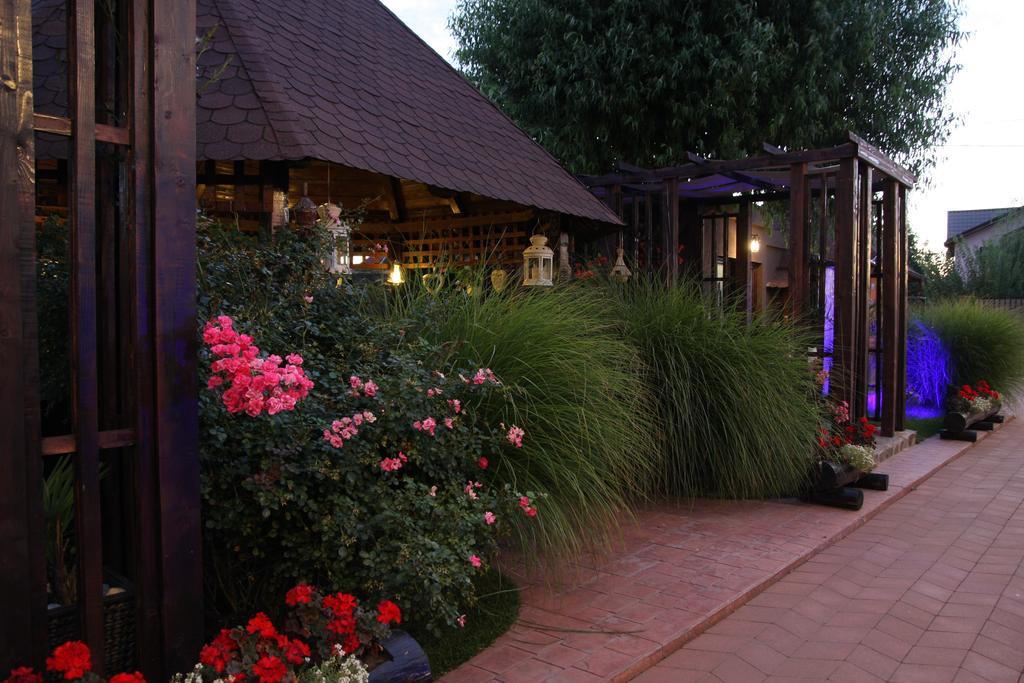 Rixo'S Guesthouse Cîrcea エクステリア 写真